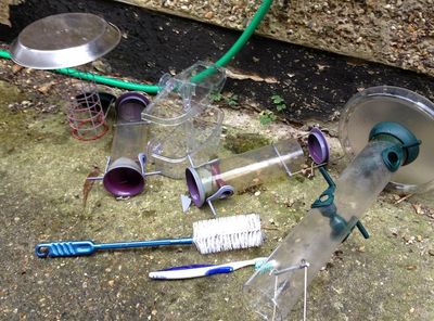 CleanBirdFeeders CleanBirdFeeders